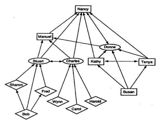 Mạng lưới tư vấn được tạo bởi nhóm kiểm toán của một công ty